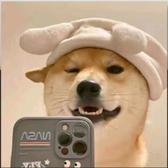 你是闪光头像
