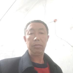 有为和天下头像