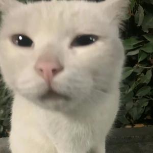 粘粘日常头像