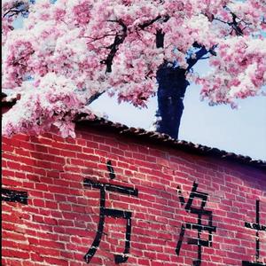 風漠头像