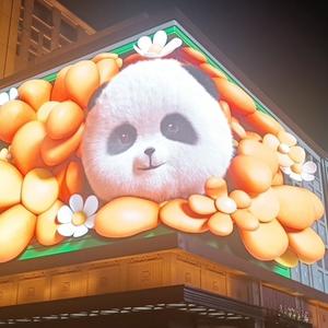 冬青爱生活头像