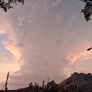 一壶娱业官方头像