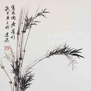 点点微言头像