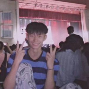 z田小新头像