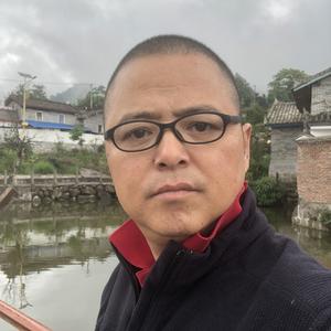 飞的鹰头像