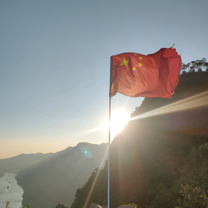 一只圆圆头像