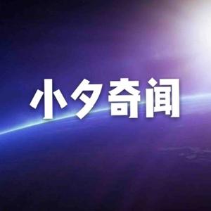 小夕奇闻头像