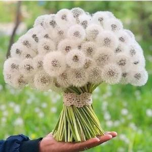 似水流年922头像