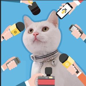 把话筒递给猫头像
