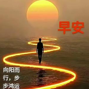 向阳而行头像
