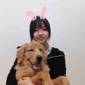 小凯你在说什么头像