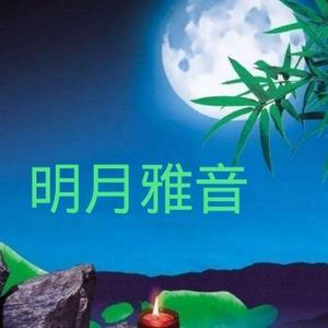 明月雅音头像