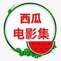 西瓜电影集头像