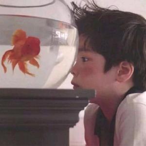 孙大力耶头像