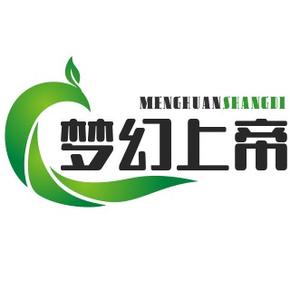 梦幻上帝之子头像
