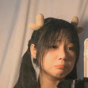小太鸽头像