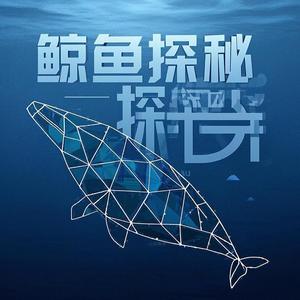 鲸鱼探秘头像