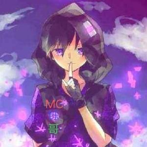 铄哥是末影王头像