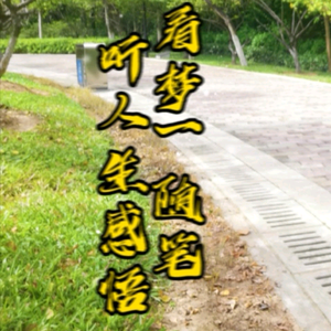 梦一随笔头像