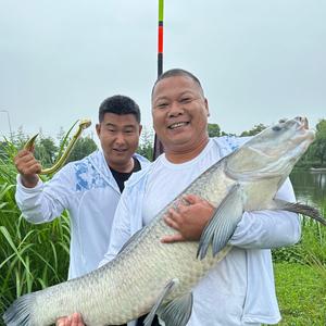 阿鞭（鲫鱼大叔）头像