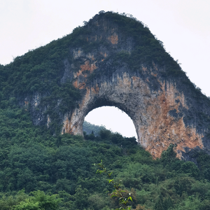 安溪亚香阁茶业头像