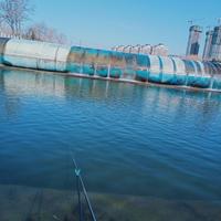 爱生活双城4a0头像