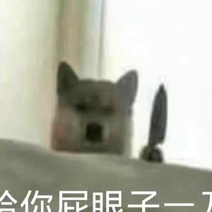 哦哦哦12345头像