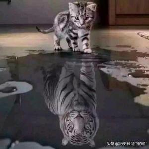 丝绵虎头像