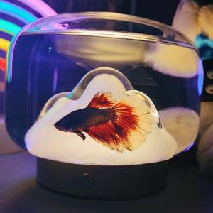 摄影师SHAN头像