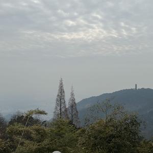 风云历史人物解读头像