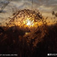 魔法师科里0C9头像