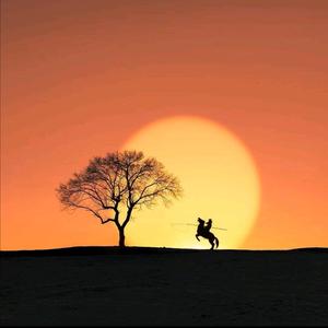 蘭亭太极头像