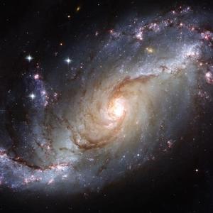 星空在线Q头像