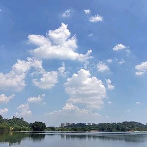 衷心的愿你安好便是晴天头像