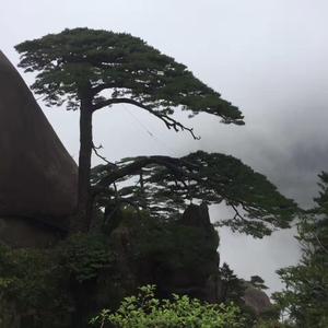 众神殿殿主头像