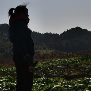 老钱哥观世界头像