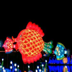 Fish随拍头像