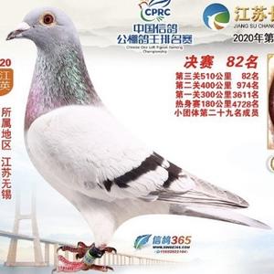 无锡戏风阁头像