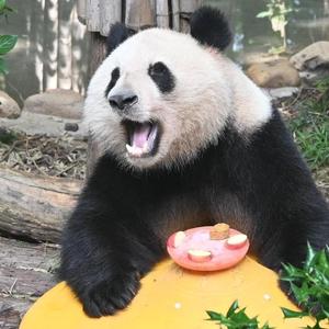 HelloPanda亚索头像