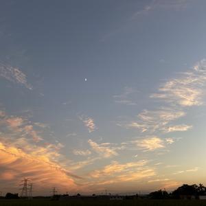 自由流水75头像