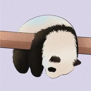 秦崤万里头像