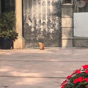 逗你玩玩头像