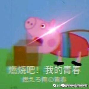 忍者不是sb头像