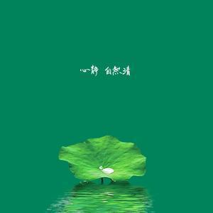 萍儿pingan头像