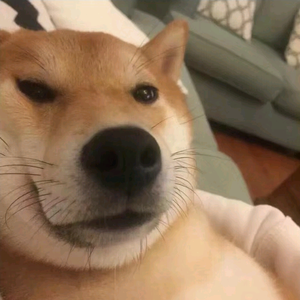 不要和差点意思的人周头像
