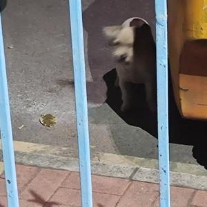 静文笔记头像