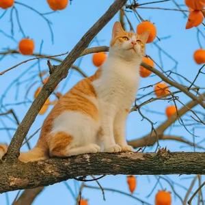 做自己的英雄2022 头像