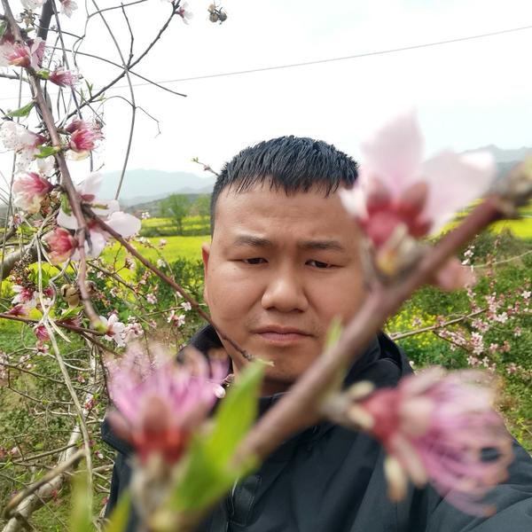 农人小二9s5P头像