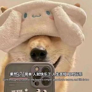 博学小鱼爱玩游戏头像