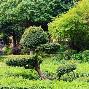 木木易易981头像